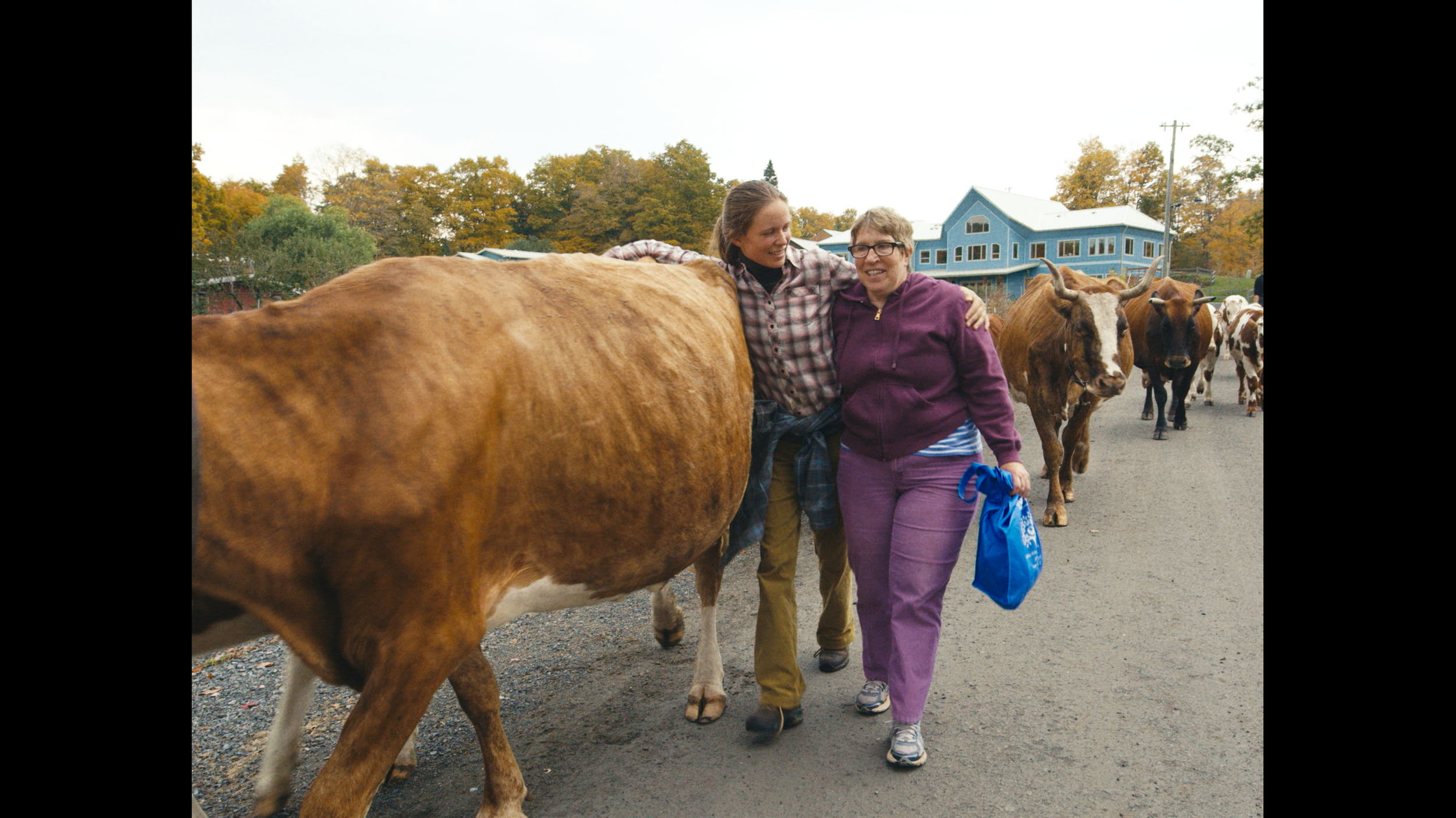 Camphill Foundation — image 4