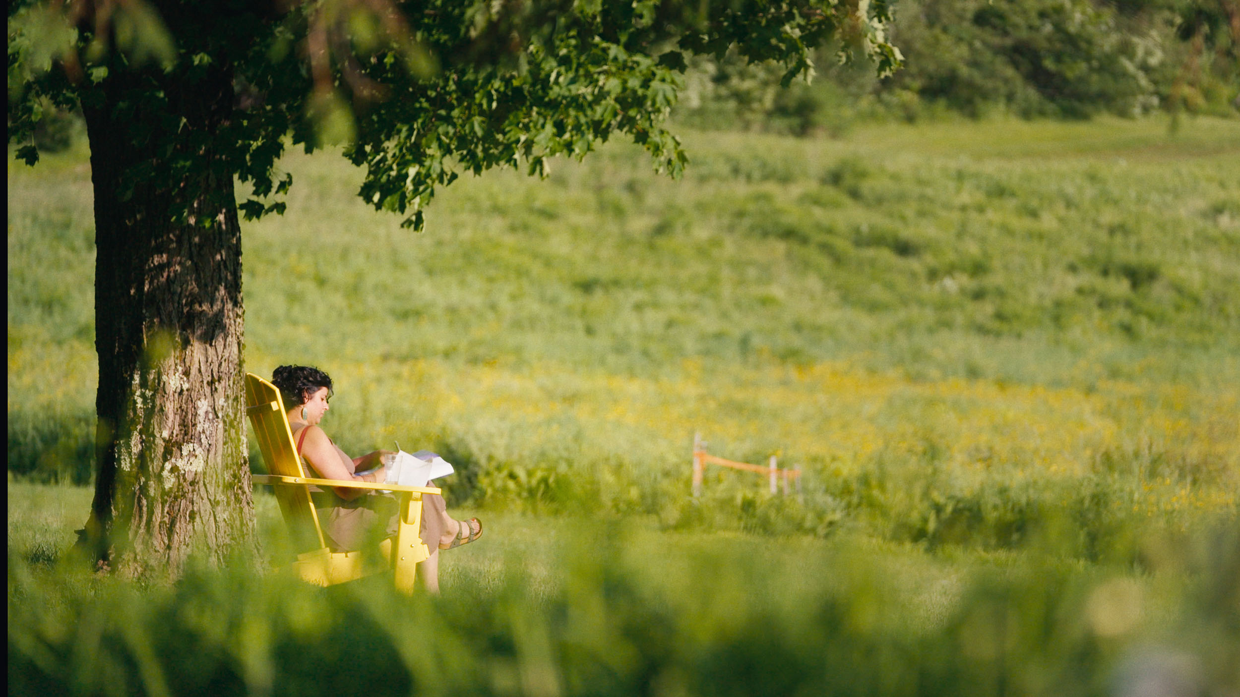 Middlebury College — image 10