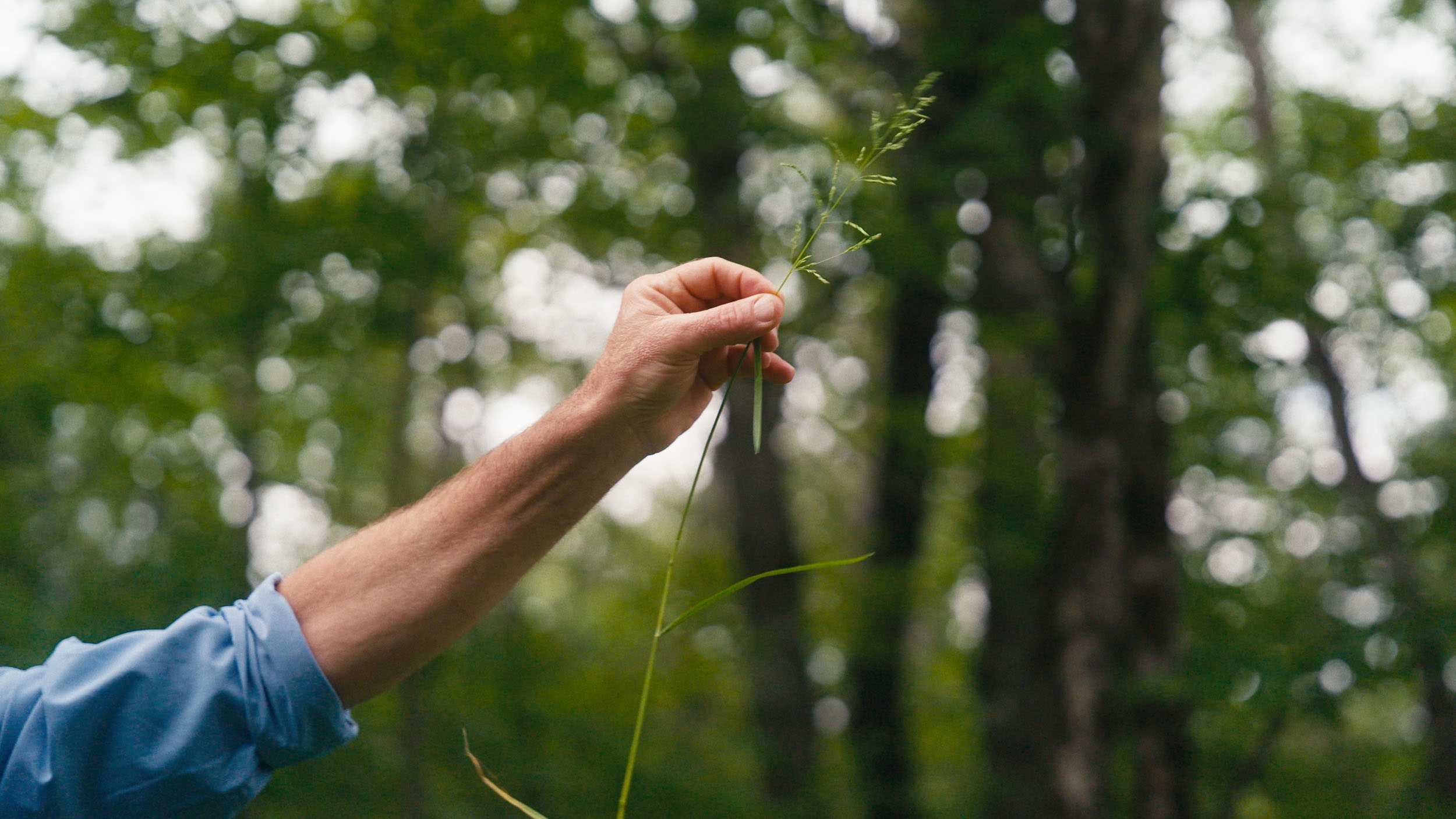 Middlebury College — image 13