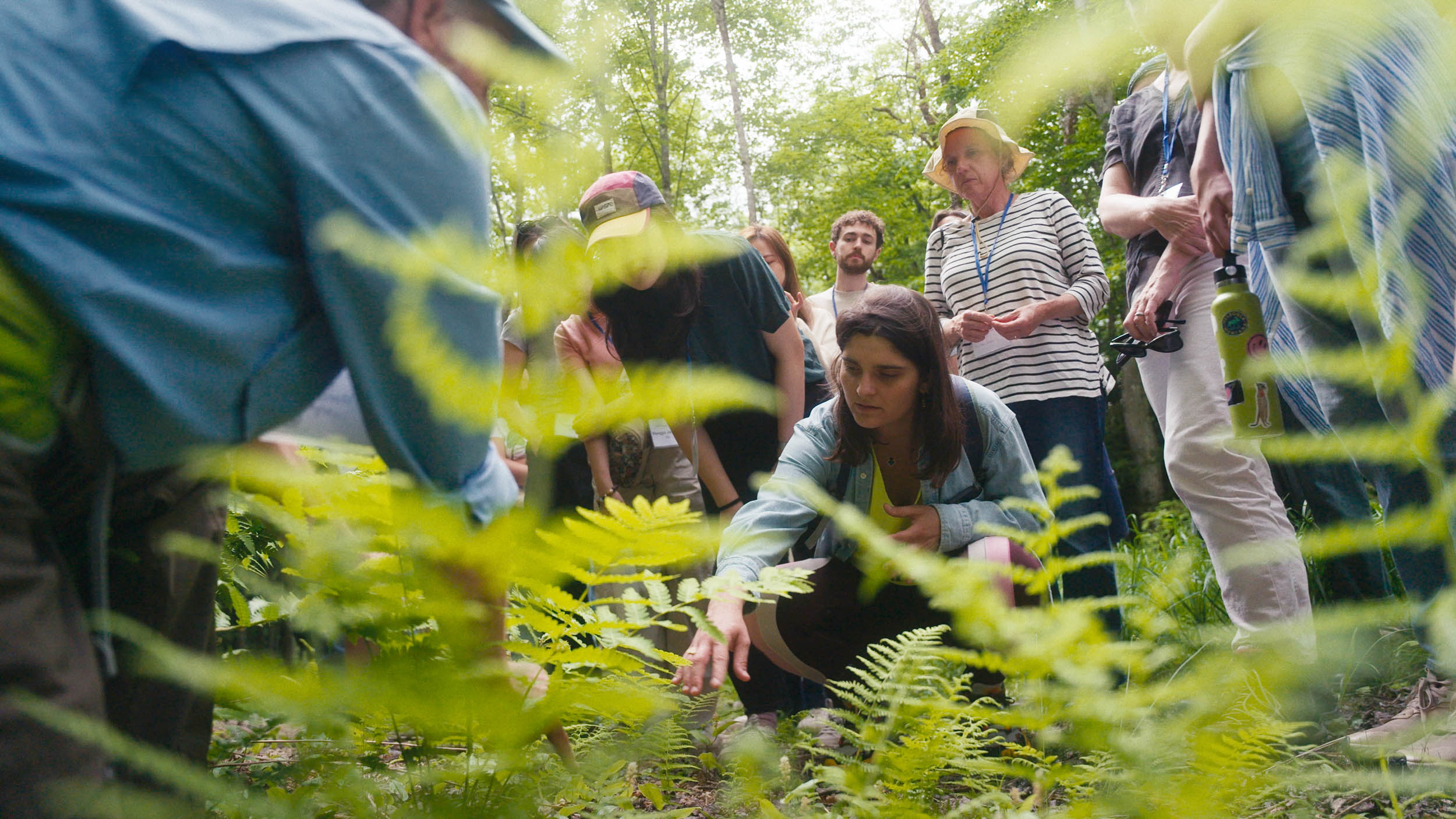 Middlebury College — image 14