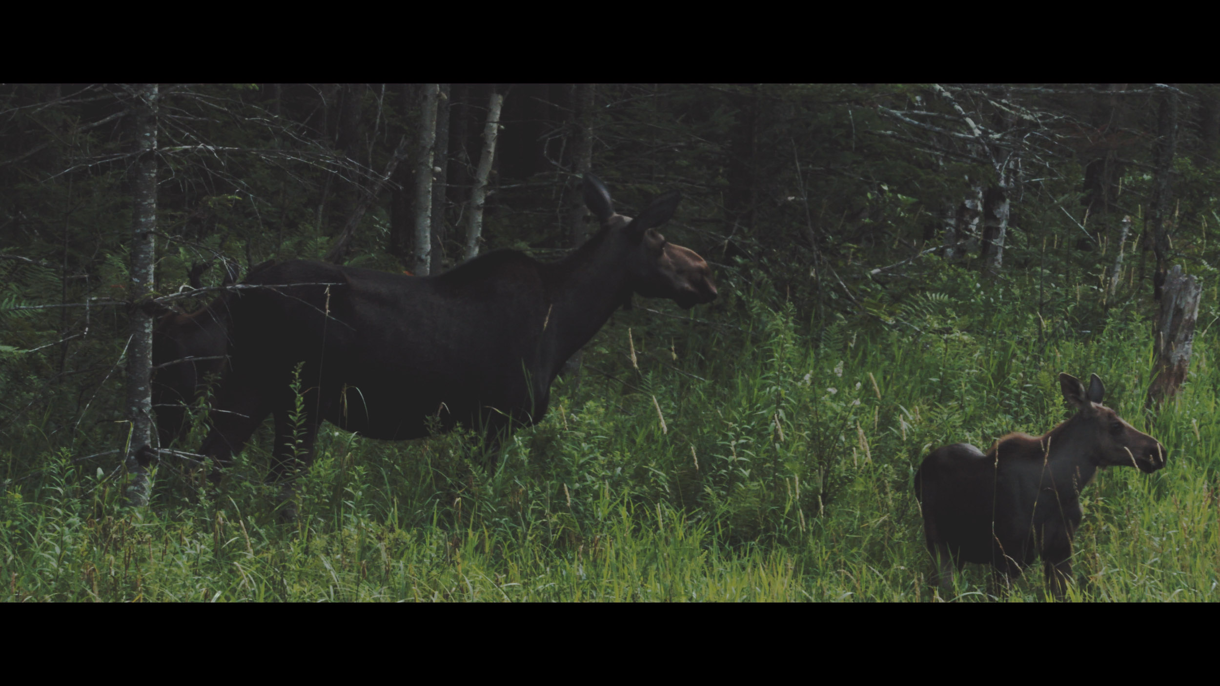 Middlebury College — image 8