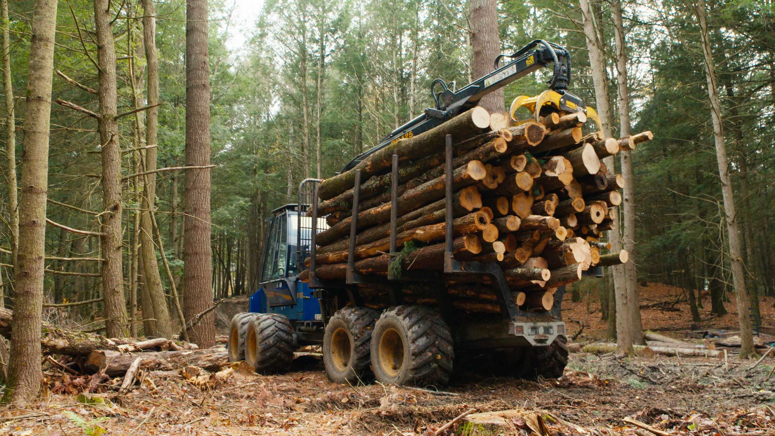 Vermont Housing & Conservation Board — image 6