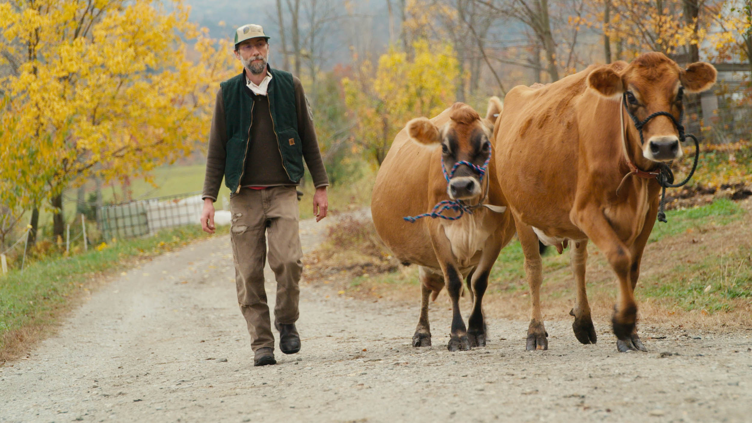 Vermont Housing & Conservation Board