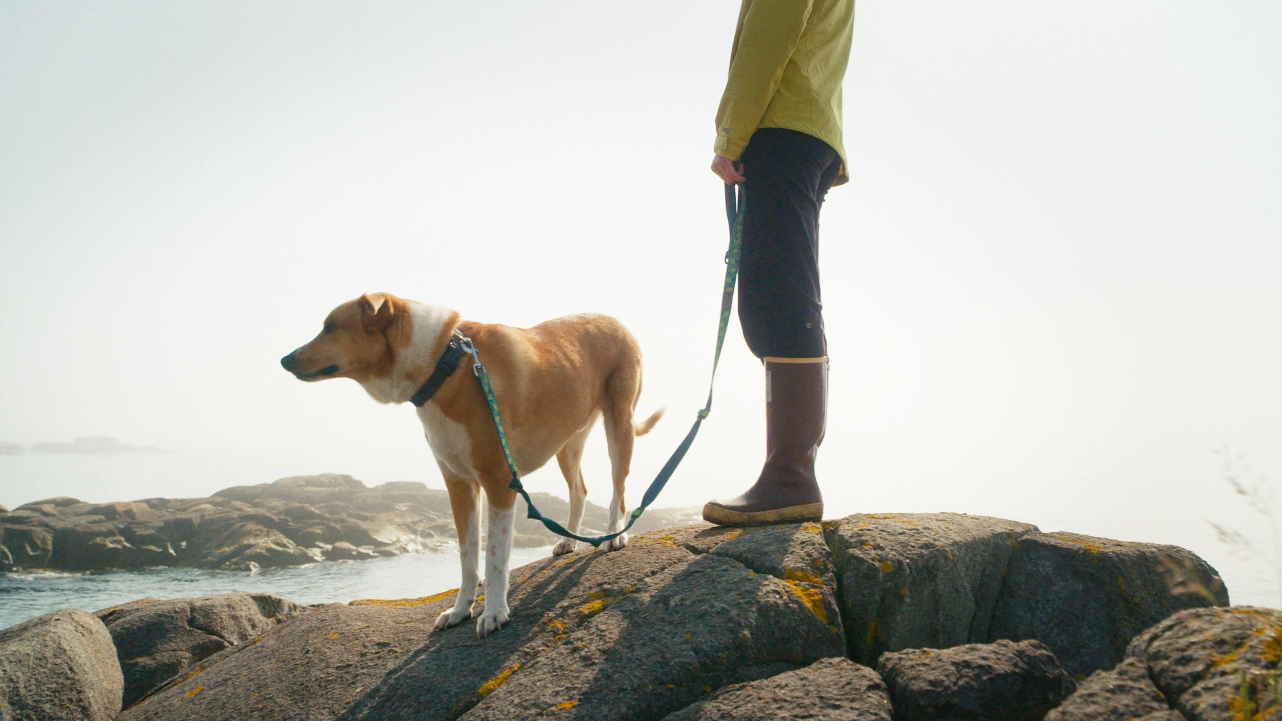 Yankee Publishing — image 6