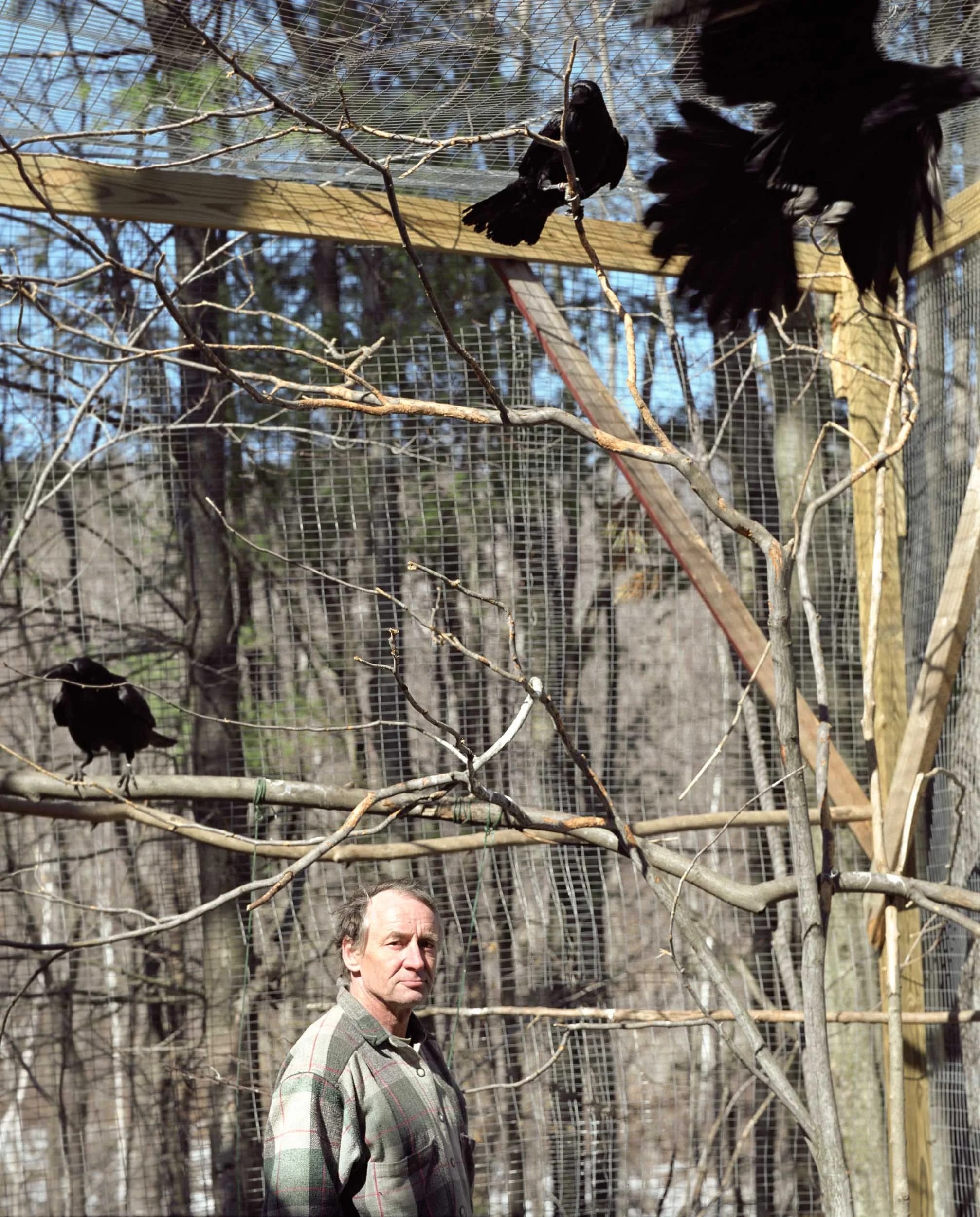 Portraits — image 8